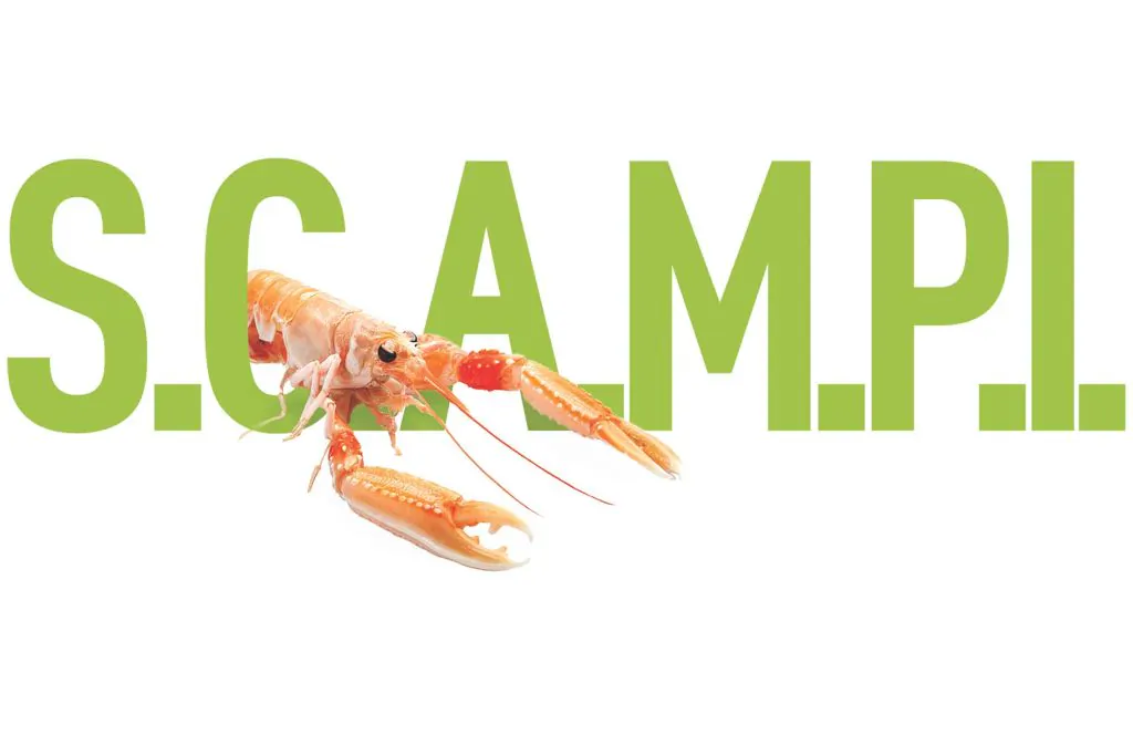 Treatment planning: introducing the SCAMPI examination